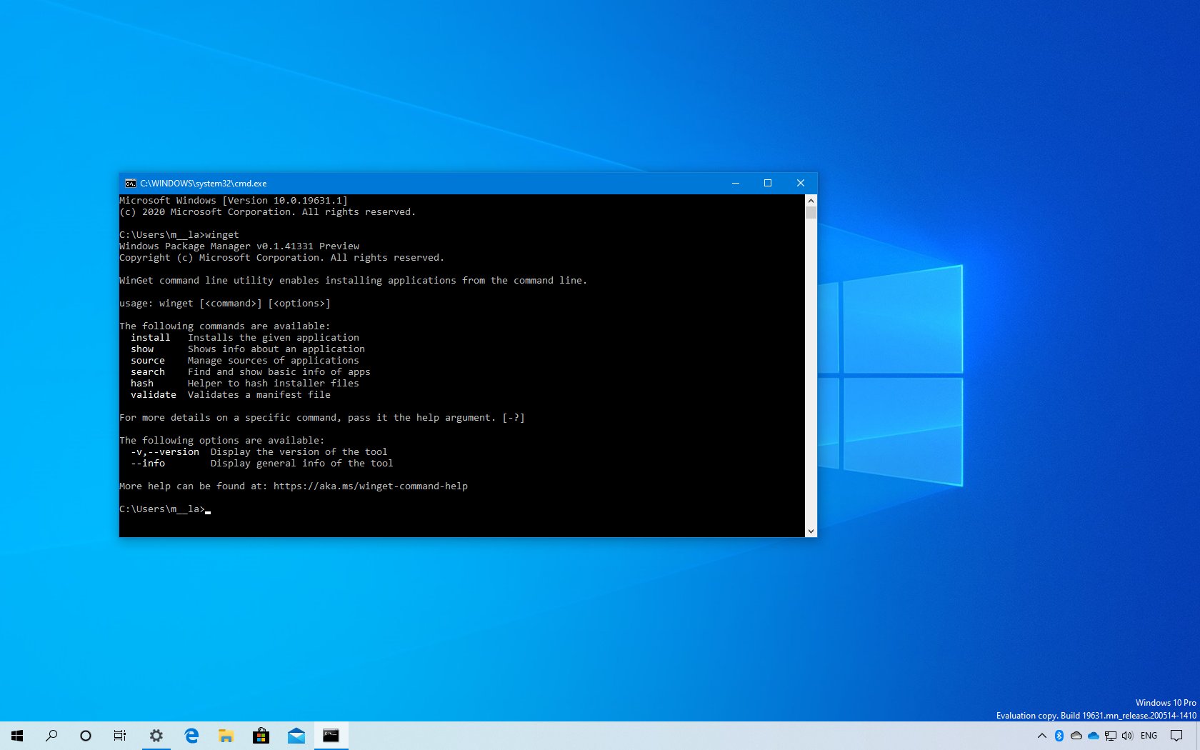 Windows Package Manager on Windows 10